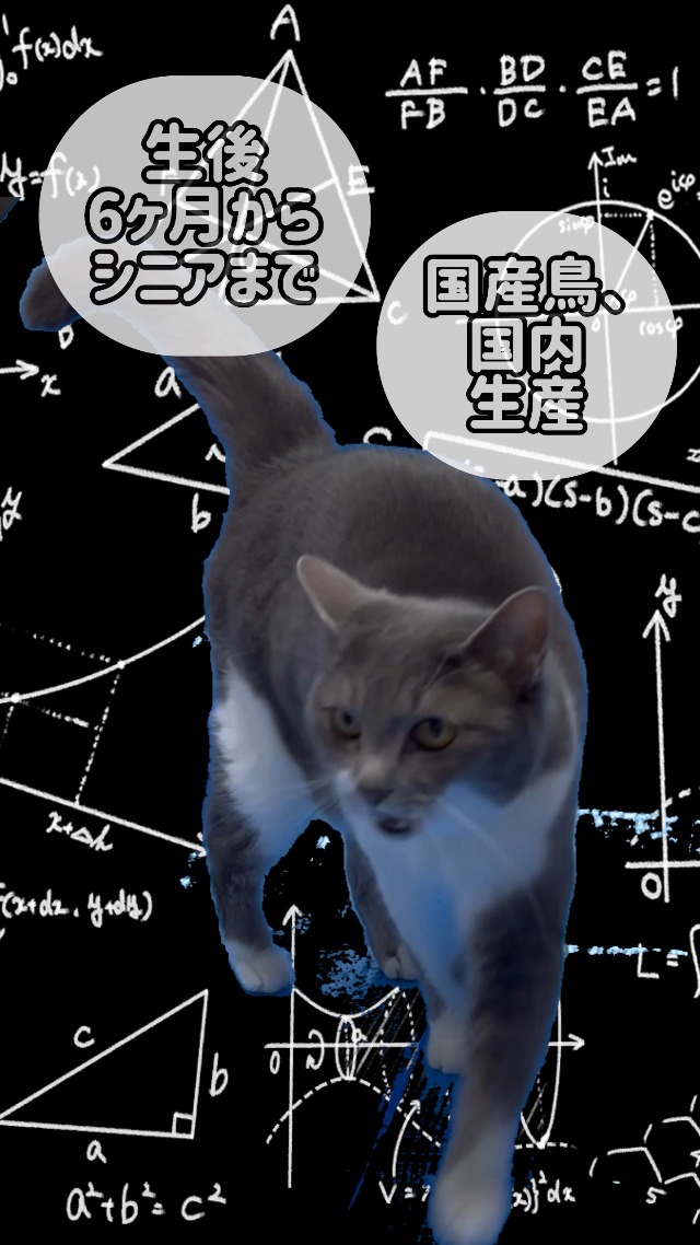 もちまる様のお専用ページ もちまる日記 公式ホームページ
